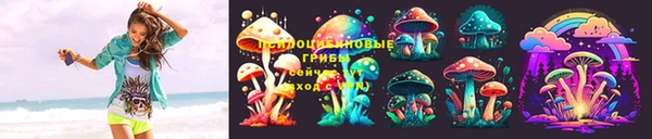 дурь Алексеевка