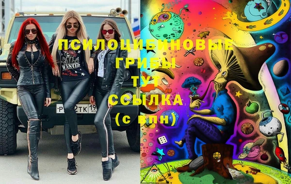дурь Алексеевка