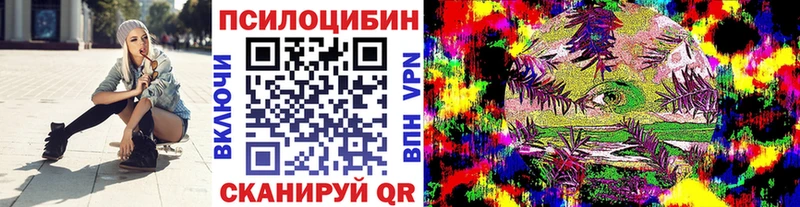 Псилоцибиновые грибы мицелий  где можно купить   Лениногорск 